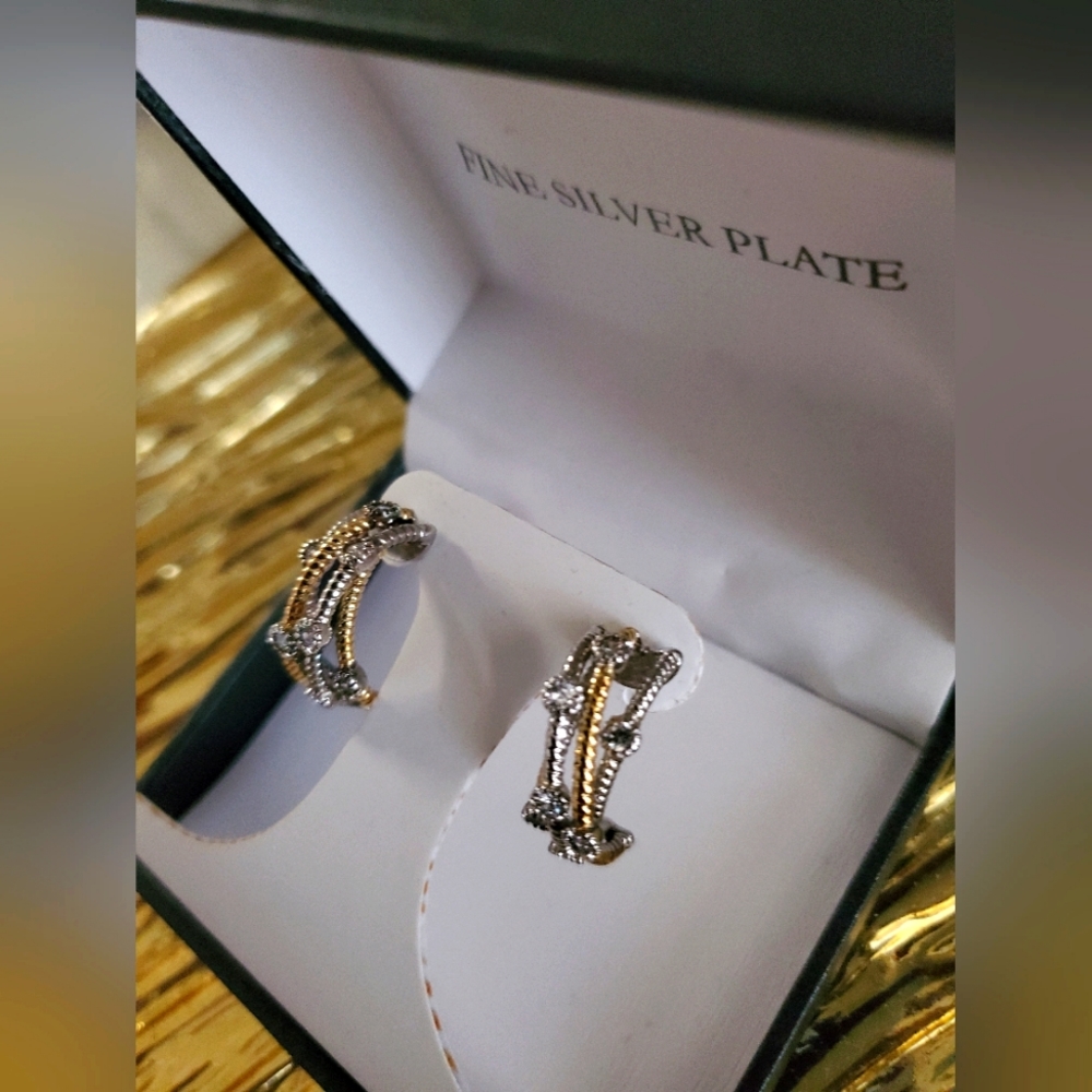 Gold and Silver Earrings (new)-never worn